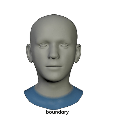 Mask Areas of the FLAME Model